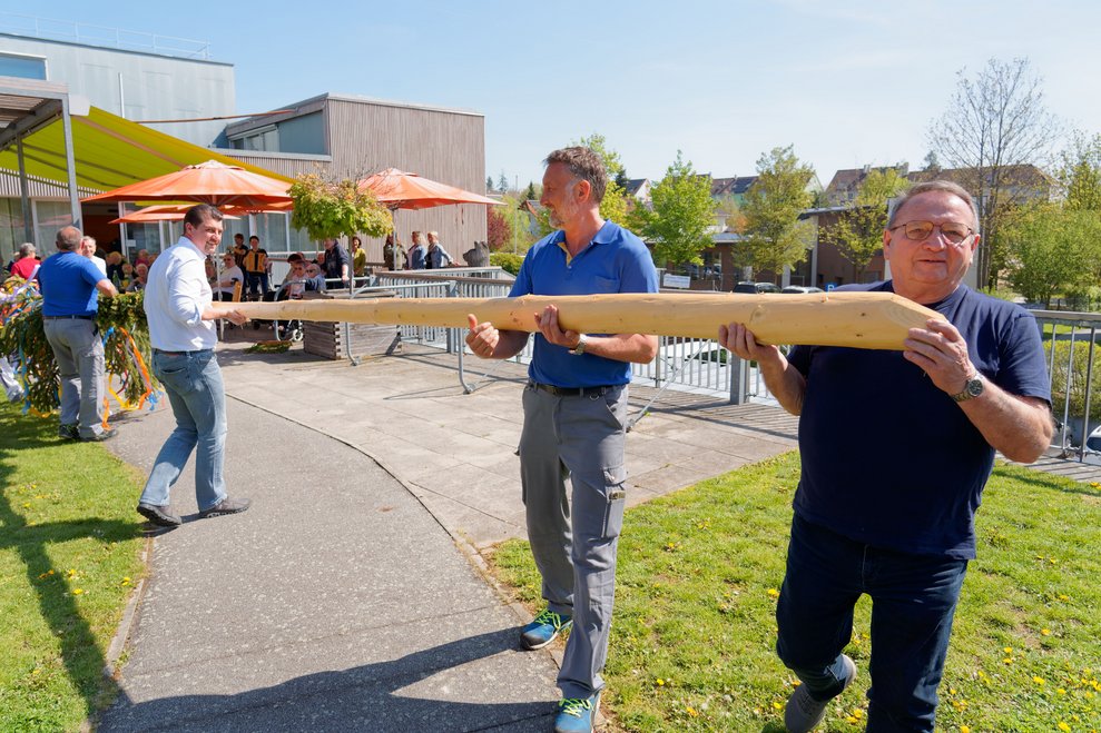 Männer tragen der Maibaum.