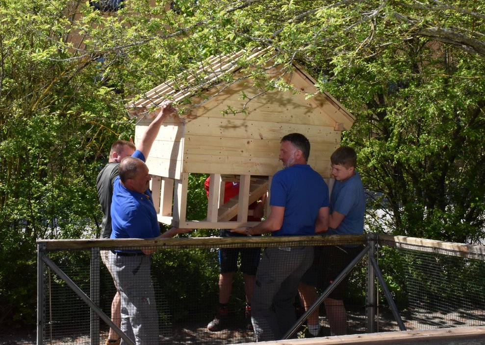 Hasenstall wird montiert.