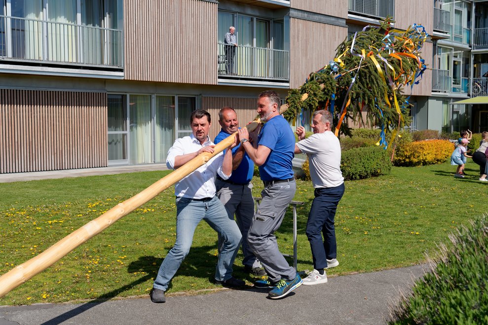 Maibaum wird aufgestellt.