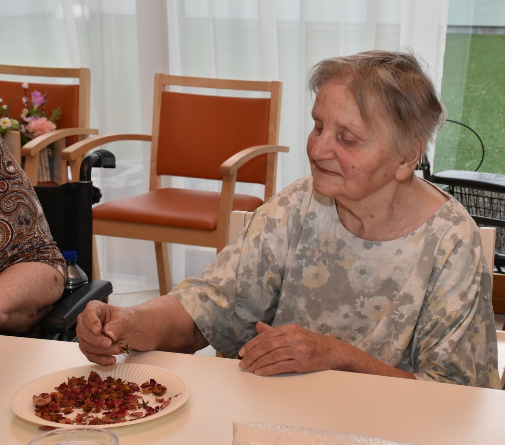Fr. Pruckner bestaunt die Kräuter.