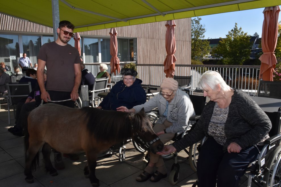 Ein Mann, drei Frauen und ein Pferd.