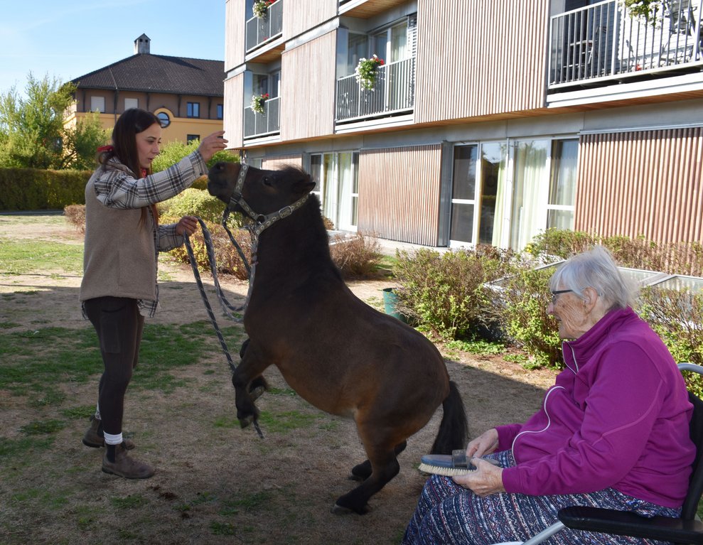 Zwei Frauen und ein Pferd.