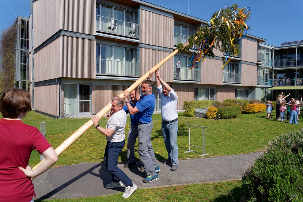 Baum wird aufgestellt.