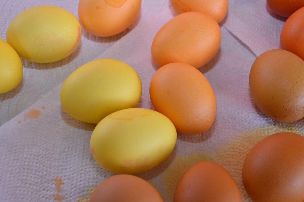 gelbe und orangene Eier.