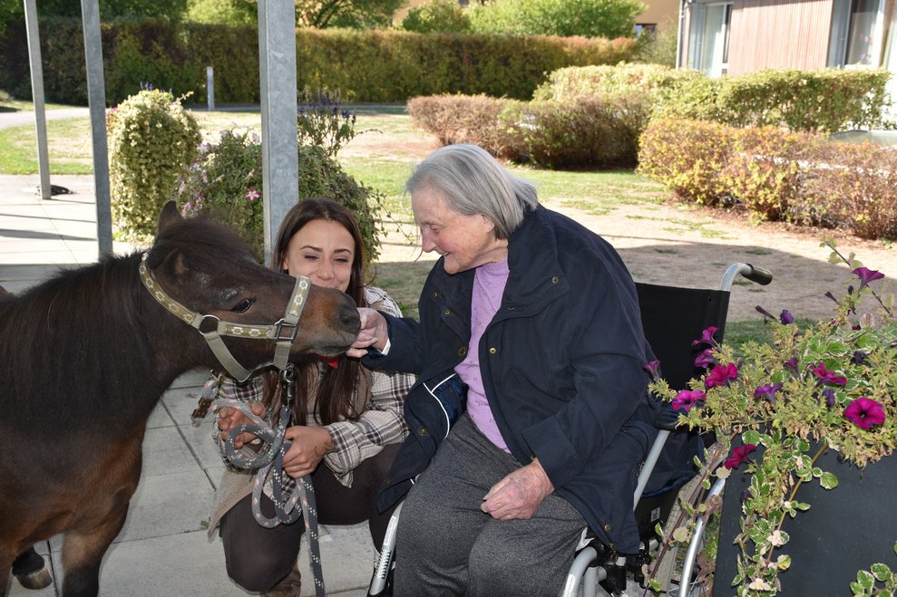 Zwei Frauen und ein Pferd.
