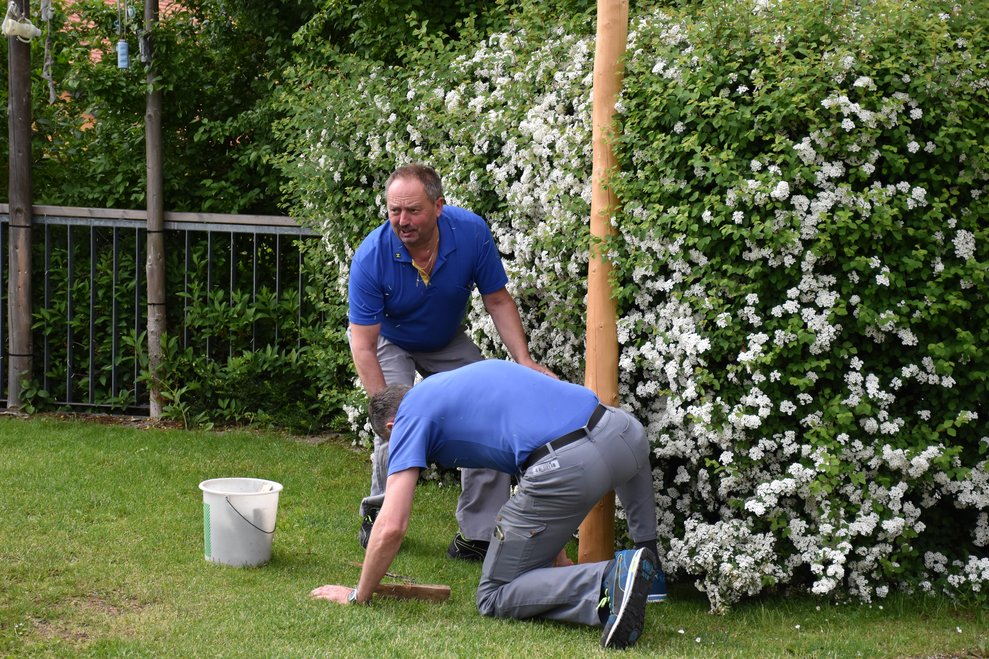 Jürgen Dangl und Herbert Ritter beim Baum umschneiden.
