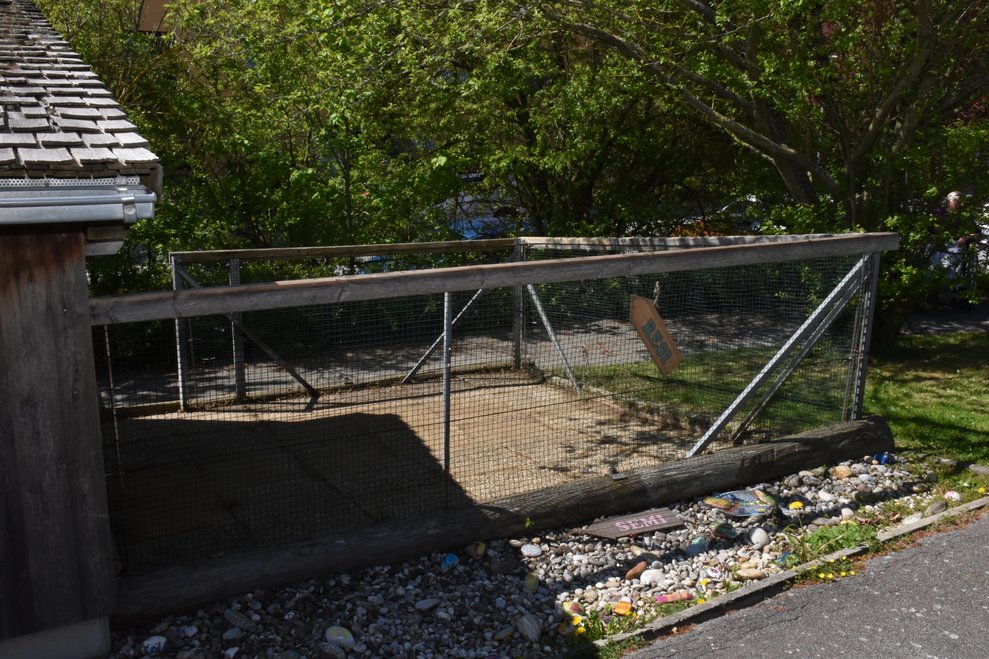 Der alte Hasenstall.